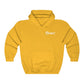 Guitar Fox Hoodie